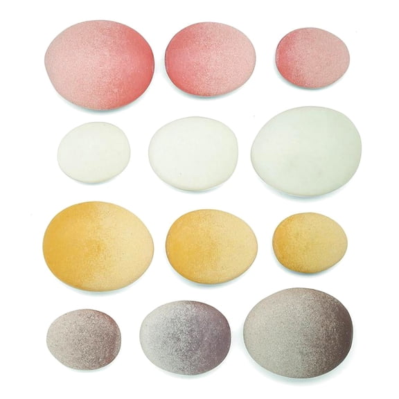 Let's Investigate Fossil Stone, Pack of 8