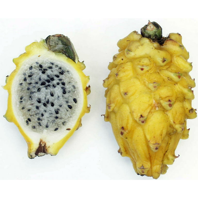 Congo Dragon Fruit (Pitaya) Yellow Shipping