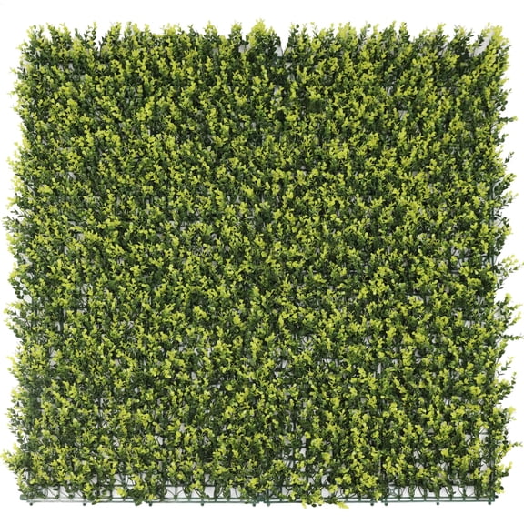 Yellow English Boxwood Artificial Vertical Garden Green Wall Panel 4040in 11 SQ FT UV Resistant Commercial Grade