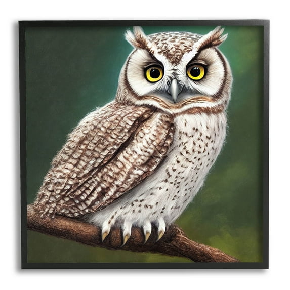 Yellow Eyed Owl Gaze Animals & Insects Painting Black Framed Art Print Wall Art