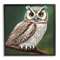 Yellow Eyed Owl Gaze Animals & Insects Painting Black Framed Art Print Wall Art