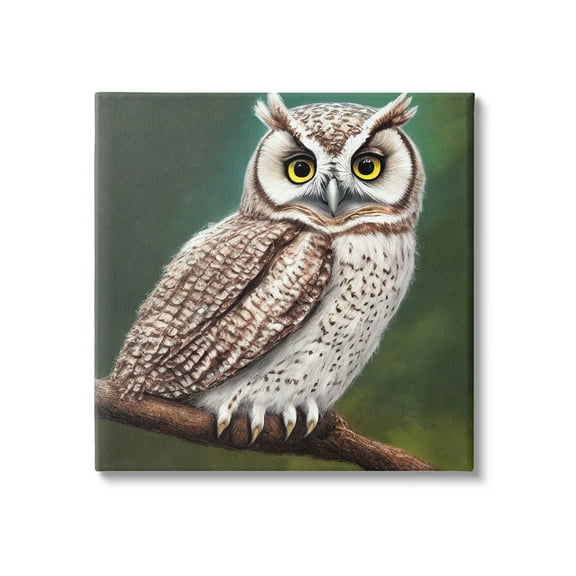 Yellow Eyed Owl Gaze Animals & Insects Painting Gallery Wrapped Canvas Print Wall Art
