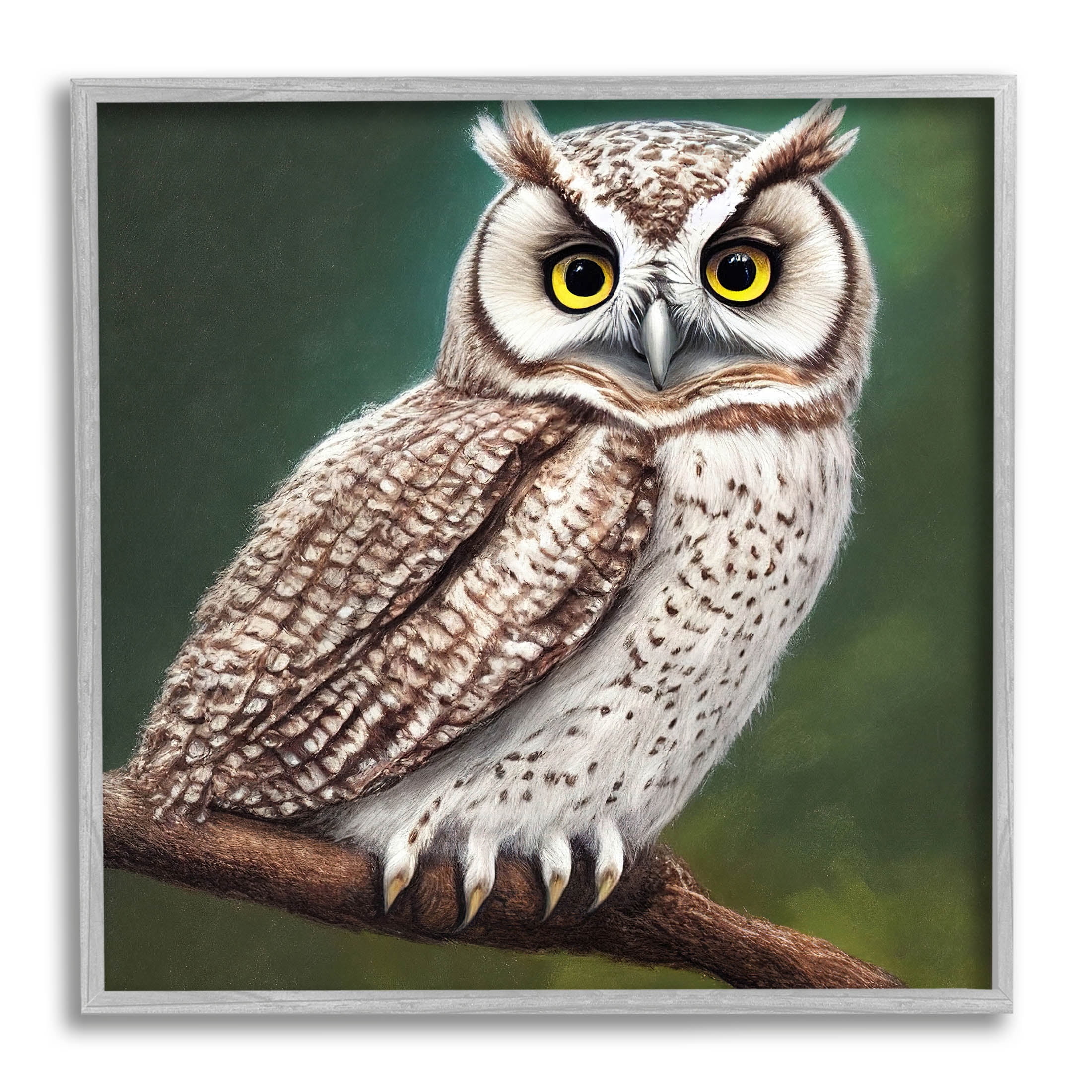 Yellow Eyed Owl Gaze Animals & Insects Painting Gray Framed Art Print Wall Art