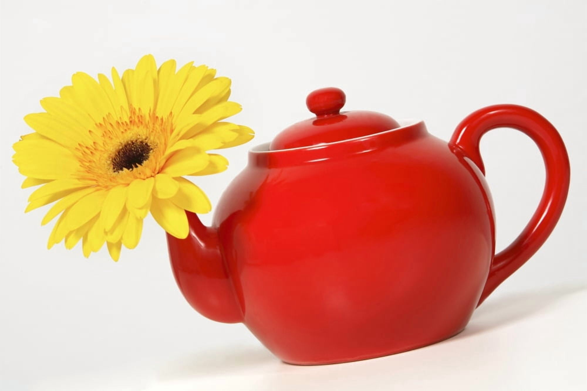 Yellow Flower In A Red Teapot Canvas Art - Leah Hammond Design Pics (34 x 22)