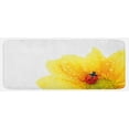 thumbnail image 1 of Yellow Flower Kitchen Mat, Little Ladybug on Gerbera Wet Petals Water Drops Fresh Garden, Plush Decorative Kitchen Mat with Non Slip Backing, 47" X 19", Yellow Vermilion, by Ambesonne, 1 of 1
