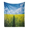 thumbnail image 1 of Yellow Flower Soft Flannel Fleece Blanket, Pathway Through Meadow of Canola Flowers with Clear Blue Sky Farmland Field, Cozy Plush for Indoor and Outdoor Use, 60" x 80", Yellow Blue, by Ambesonne, 1 of 6
