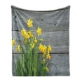 thumbnail image 1 of Yellow Flower Soft Flannel Fleece Throw Blanket, Bouquet of Daffodils on Wood Planks Gardening Rustic Country Life Theme, Cozy Plush for Indoor and Outdoor Use, 70" x 90", Yellow Grey, by Ambesonne, 1 of 5
