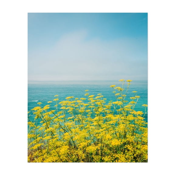 Yellow Flowers, Big Sur 01 - California Photography Ocean Flowers Coastal Nature Floral Scenic Beach Unframed Wall Art Print 8 x 10 inches