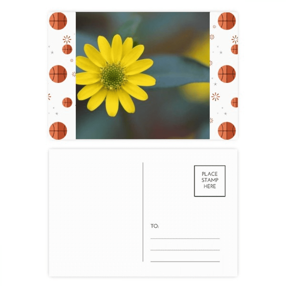 Yellow Flowers Green Chrysanthemum Basketball Postcard Set Thanks Card Mailing Side 20pcs