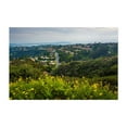 thumbnail image 1 of Yellow Flowers from Mount Soledad - La Jolla California Photography Landscape Scenic Nature Coast Flowers Rural Summer Unframed Wall Art Print 40 x 60 inches, 1 of 7