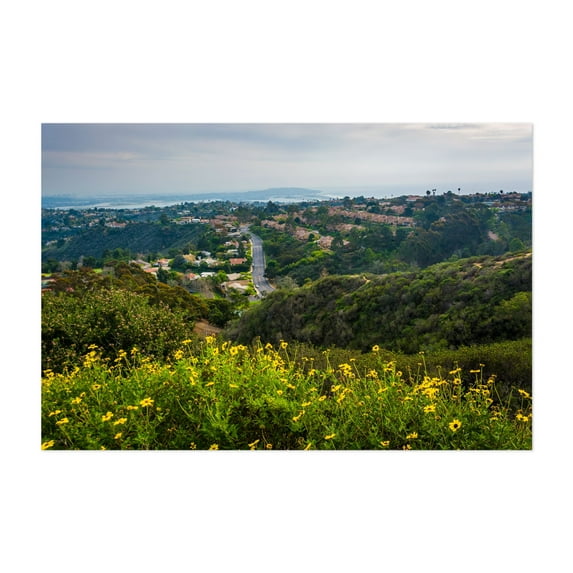Yellow Flowers from Mount Soledad - La Jolla California Photography Landscape Scenic Nature Coast Flowers Rural Summer Unframed Wall Art Print 40 x 60 inches