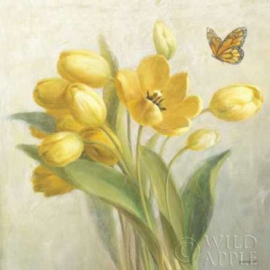 Yellow French Tulips Canvas Art - Danhui Nai (24 x 24)