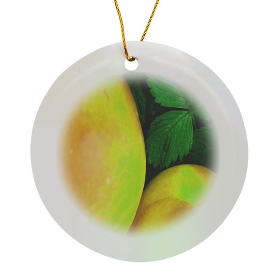 3drose, Yellow Fruit, Circle Porcelain Ornament