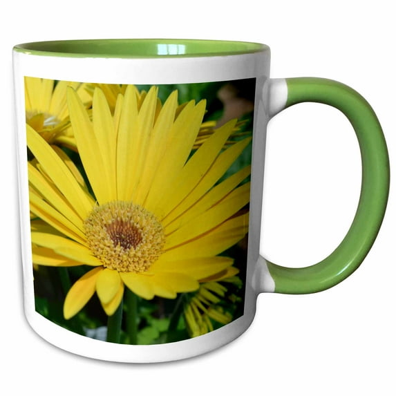 3drose, Yellow Gerbera Daisy Macro- Flowers- Floral Photography, 11oz Two-tone Green Mug