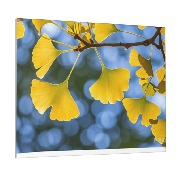 Yellow Ginkgo Wall Pictures For Living Room For Living Room Bedroom Kitchen Office Home Decor 16 X 20 Maple Leaf Canvas Paintings