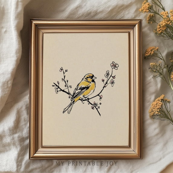 Yellow Goldfinch Bird Wall Art Print, Ink Drawing Of Songbird ...