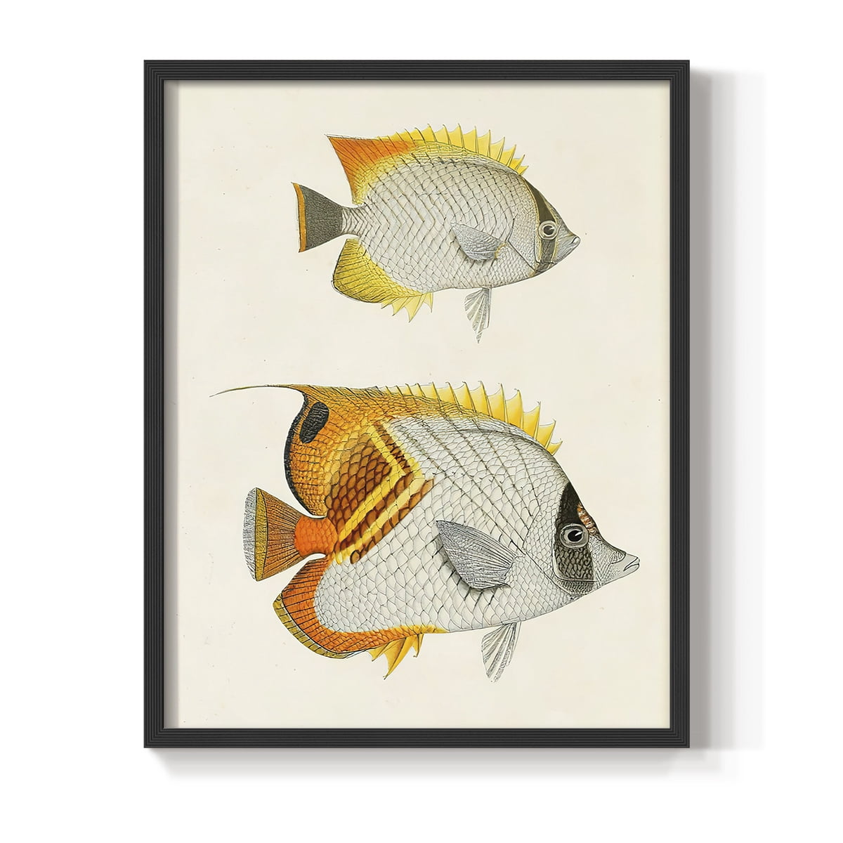 Yellow & Grey Fish I Framed Print - Solid Wood in Single Picture Frame Solid Wood 2 Framed Print