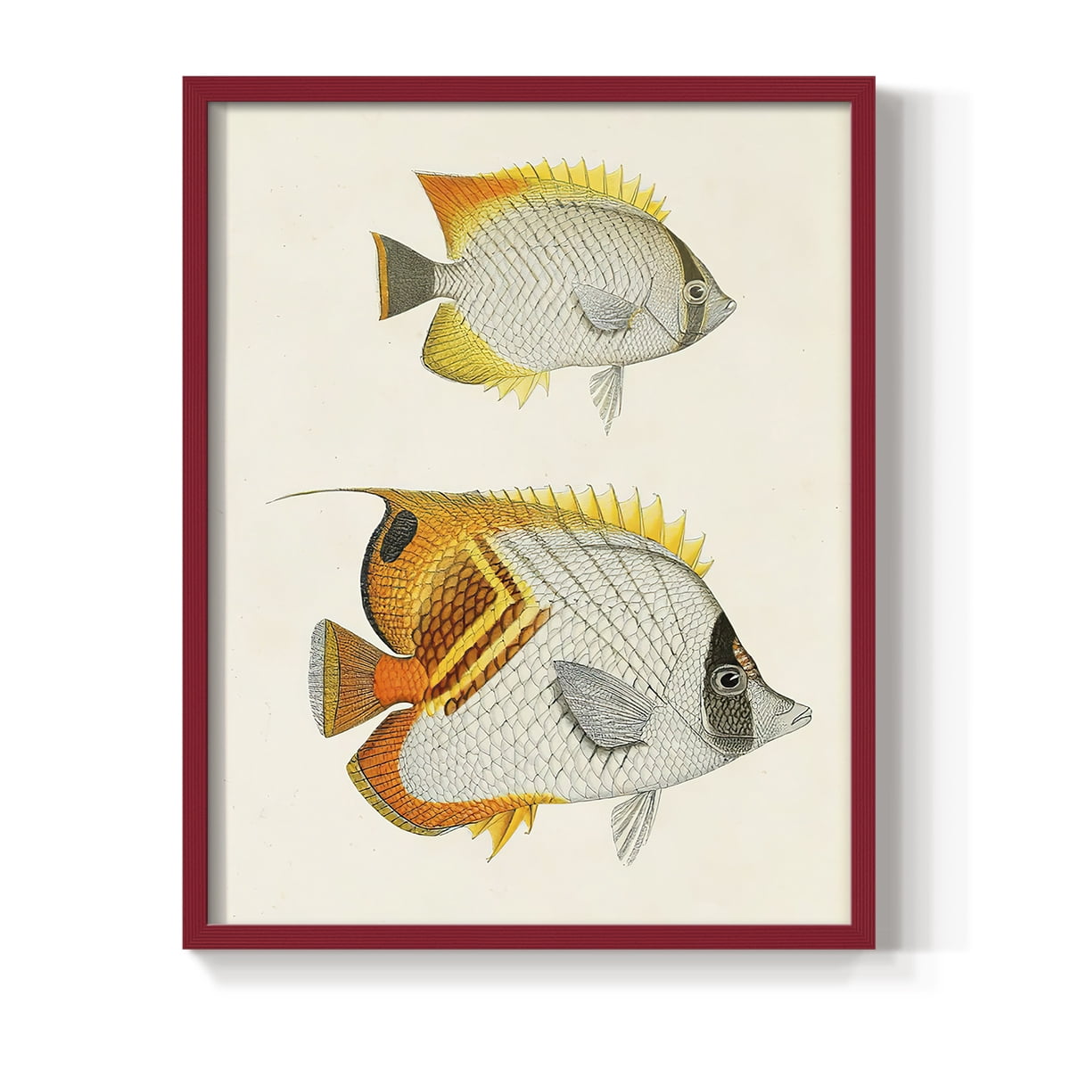 Yellow & Grey Fish I Framed Print - Solid Wood in Single Picture Frame Solid Wood 2 Framed Print