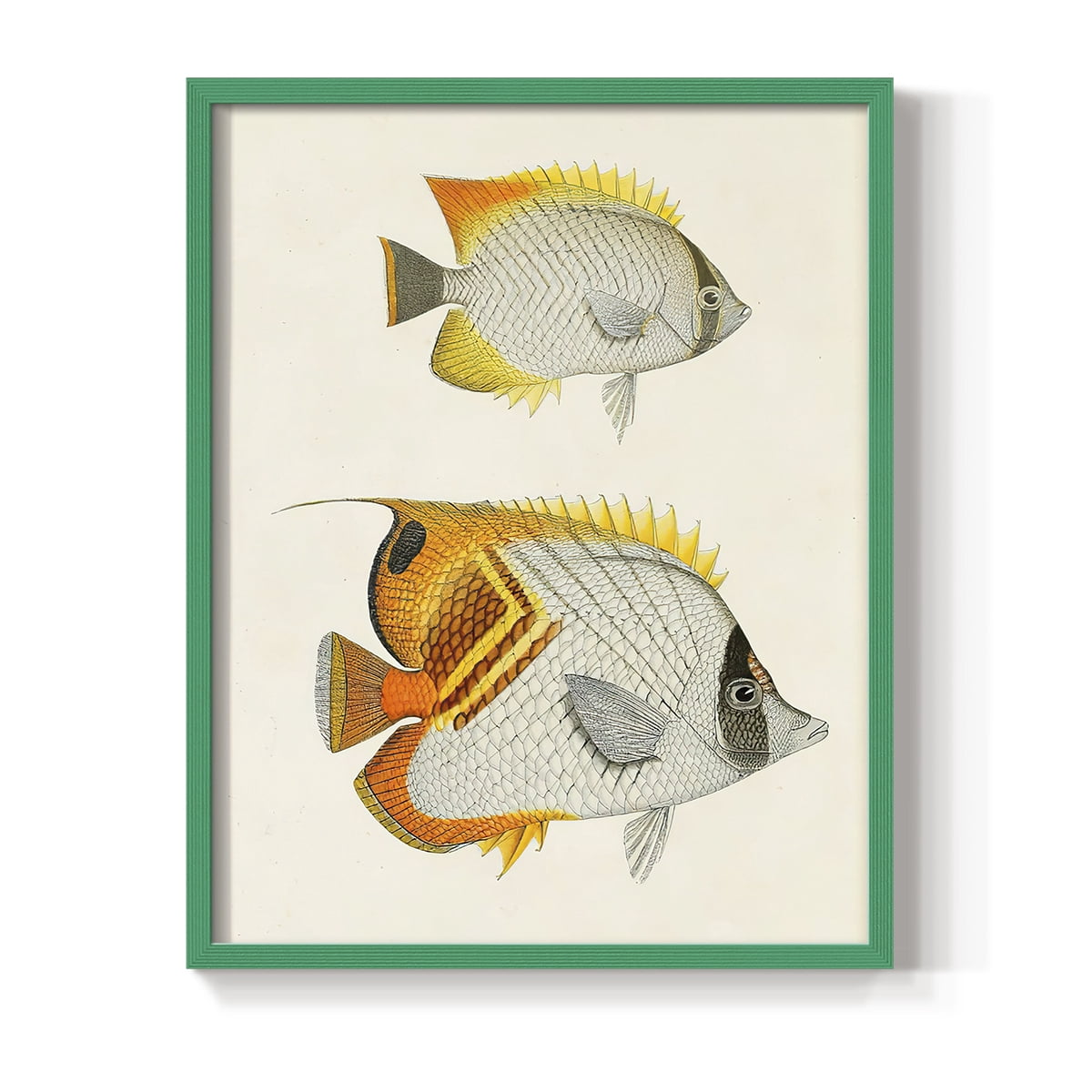 Yellow & Grey Fish I Framed Print - Solid Wood in Single Picture Frame Solid Wood 2 Framed Print