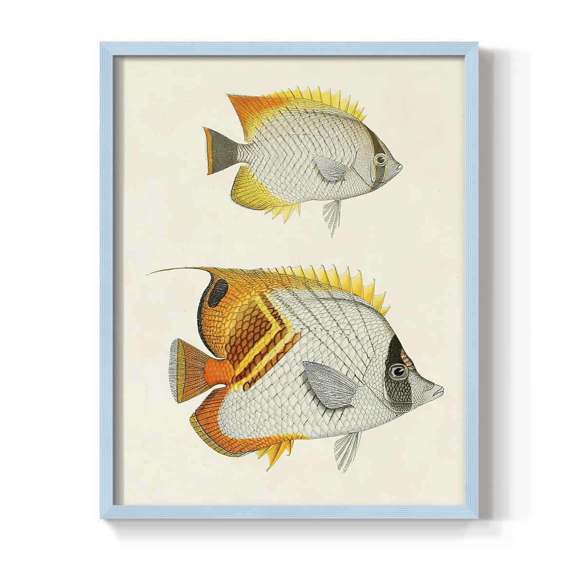 Yellow & Grey Fish I Framed Print - Solid Wood in Single Picture Frame Solid Wood 2 Framed Print
