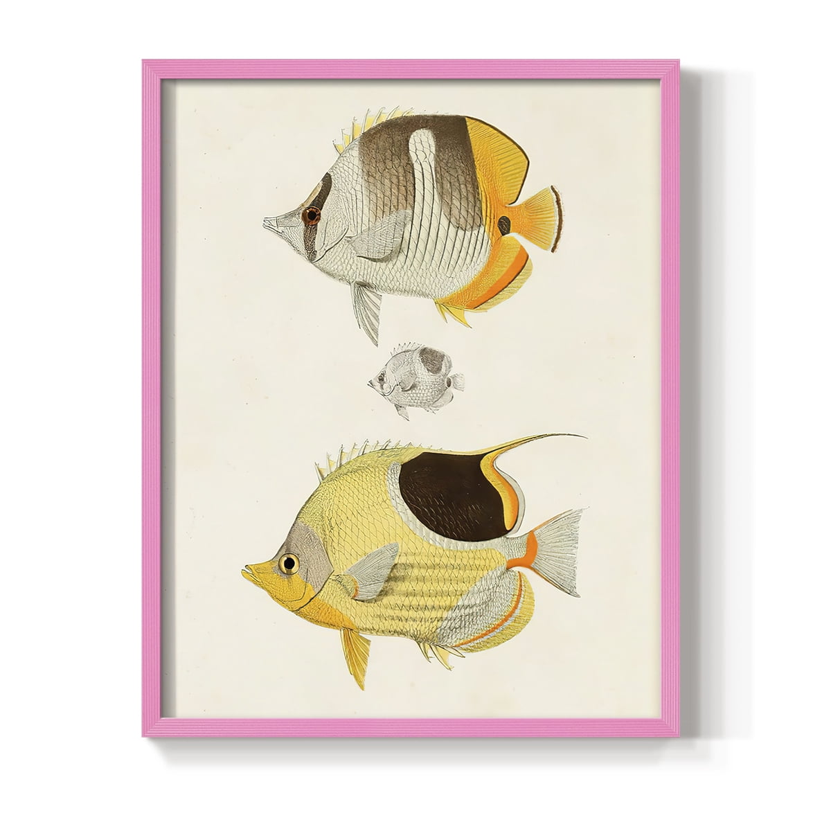 Yellow & Grey Fish II Framed Print - Solid Wood in Single Picture Frame Solid Wood 2 Framed Print