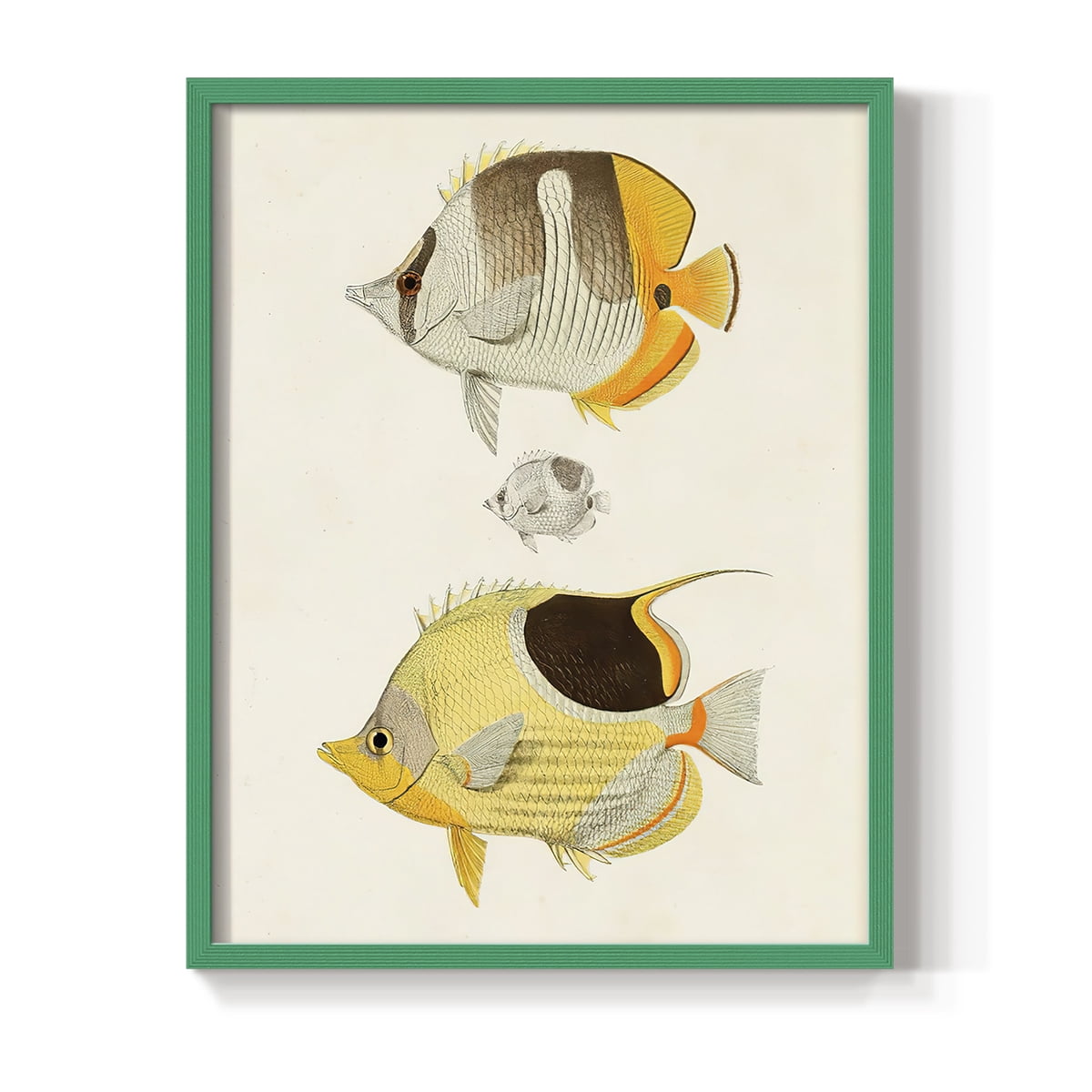 Yellow & Grey Fish II Framed Print - Solid Wood in Single Picture Frame Solid Wood 2 Framed Print