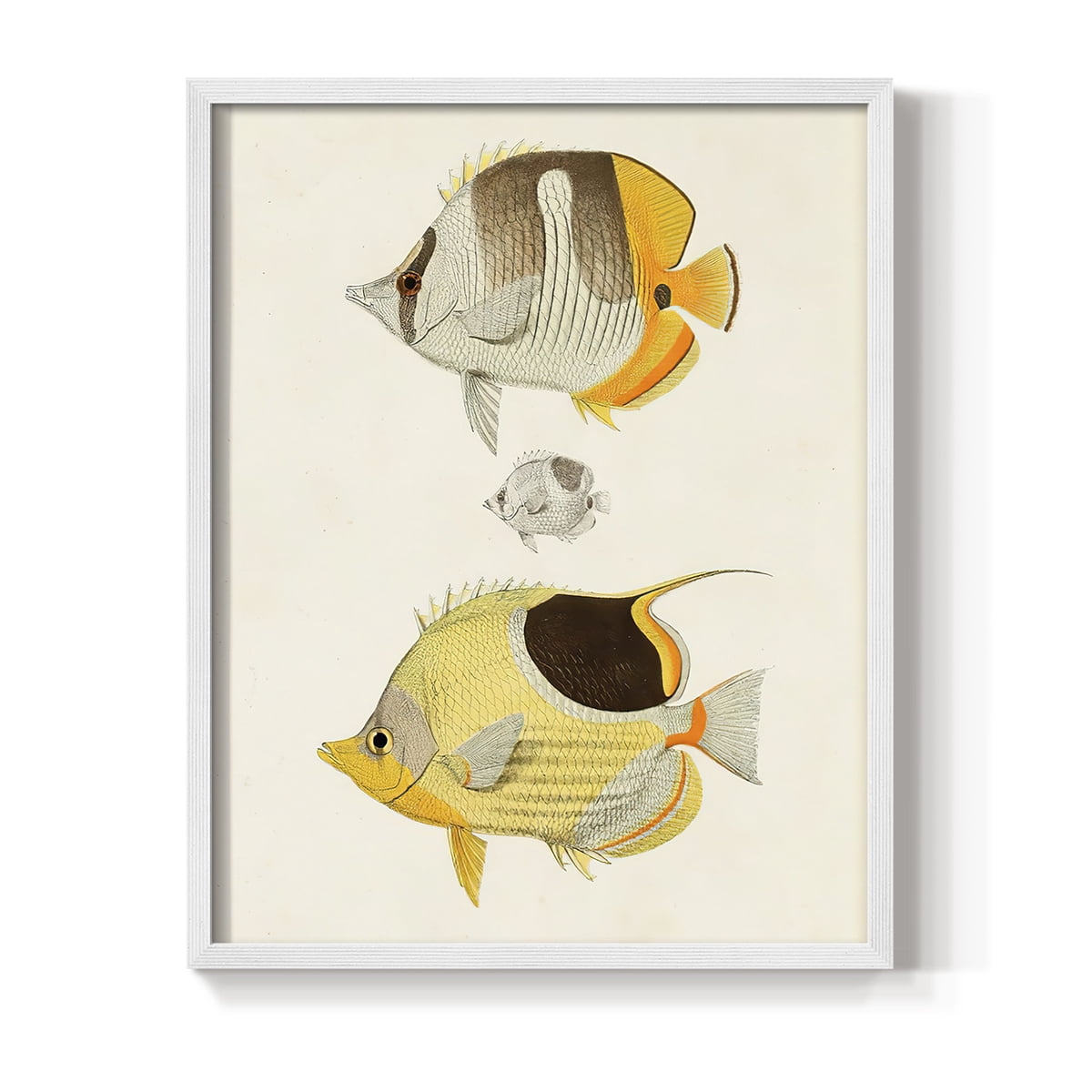 Yellow & Grey Fish II Framed Print - Solid Wood in Single Picture Frame Solid Wood 2 Framed Print