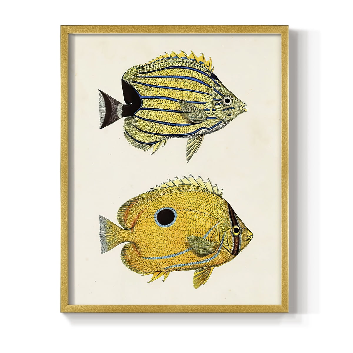 Yellow & Grey Fish III Framed Print - Solid Wood in Single Picture Frame Solid Wood 2 Framed Print