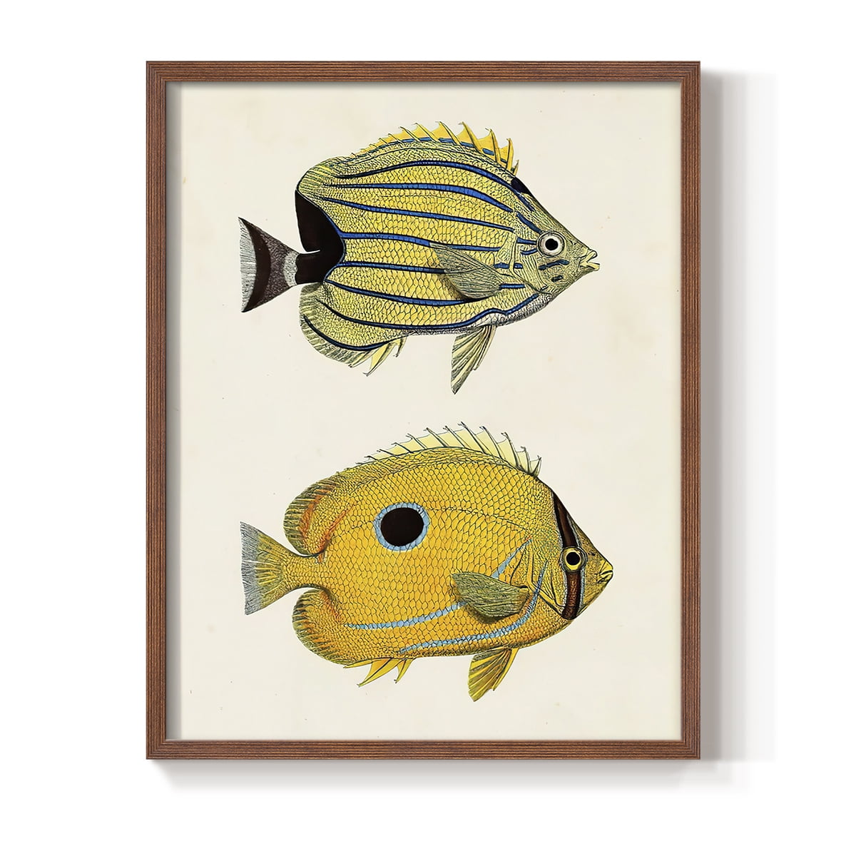 Yellow & Grey Fish III Framed Print - Solid Wood in Single Picture Frame Solid Wood 2 Framed Print