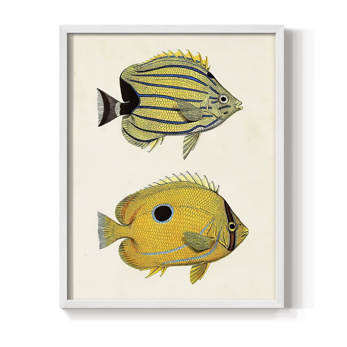 Yellow & Grey Fish III Framed Print - Solid Wood in Single Picture Frame Solid Wood 2 Framed Print