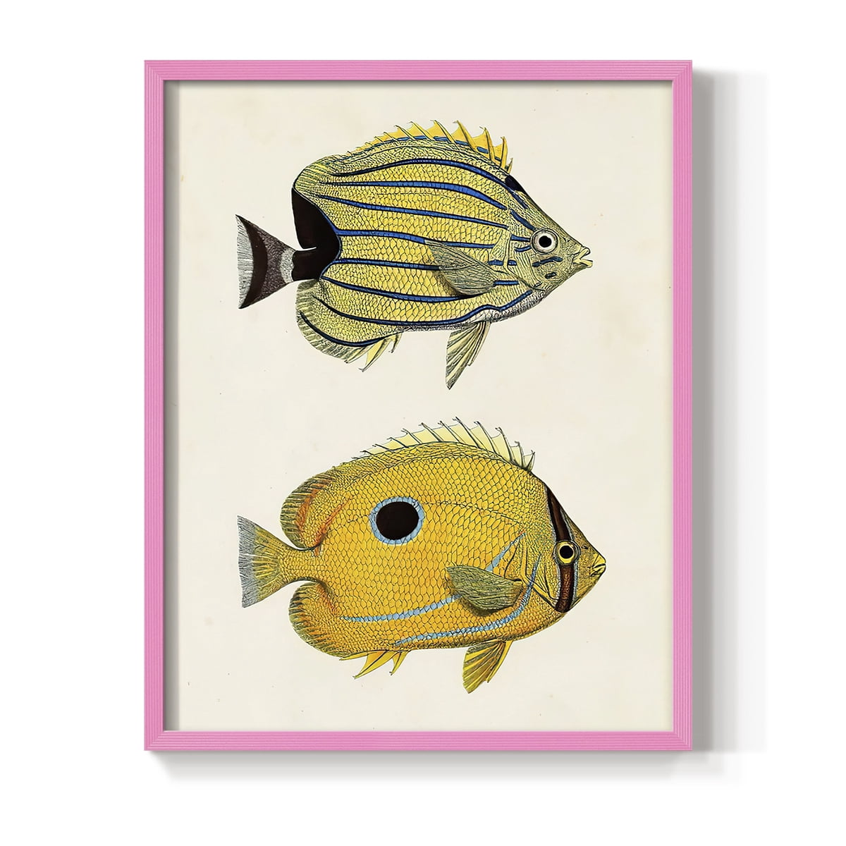 Yellow & Grey Fish III Framed Print - Solid Wood in Single Picture Frame Solid Wood 2 Framed Print
