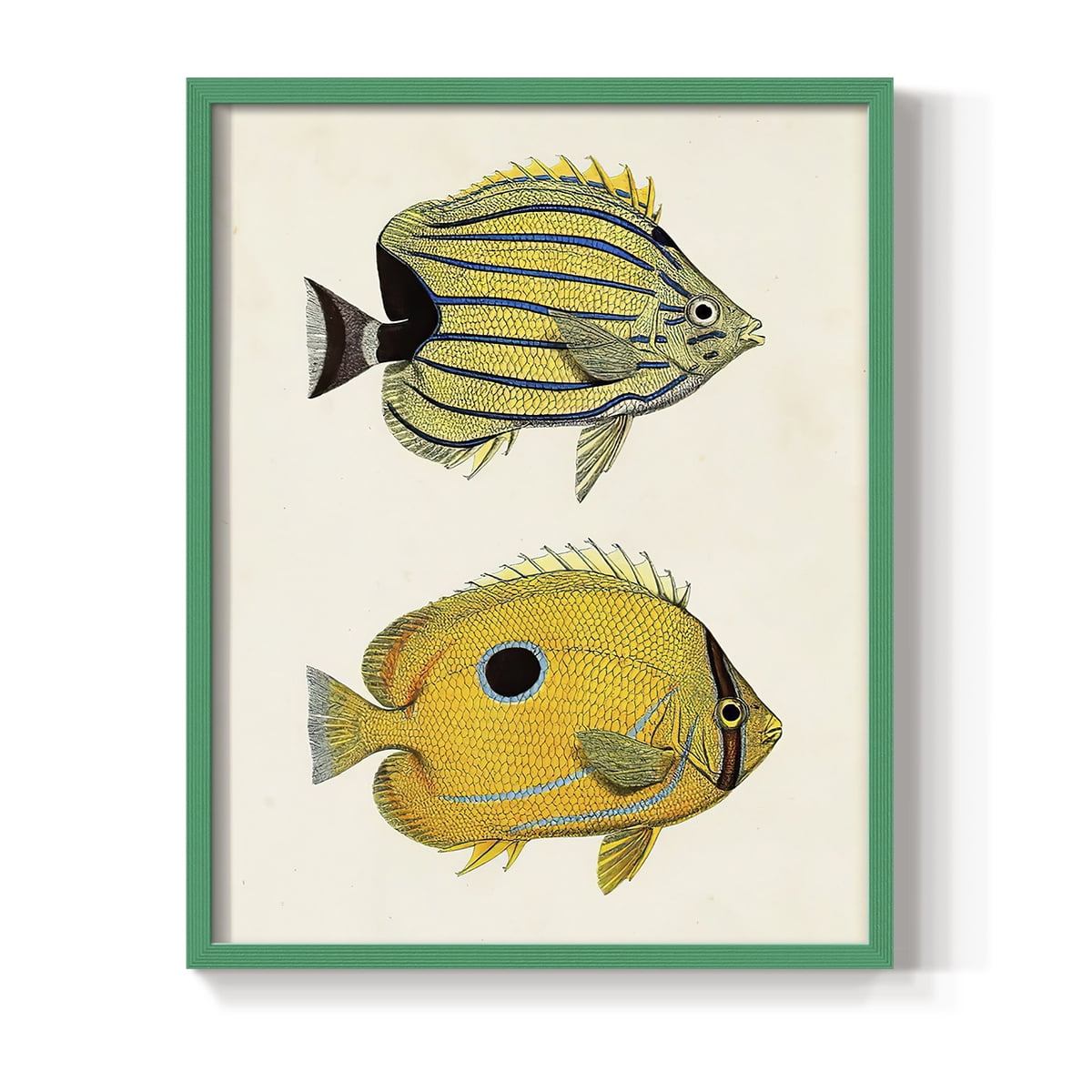 Yellow & Grey Fish III Framed Print - Solid Wood in Single Picture Frame Solid Wood 2 Framed Print