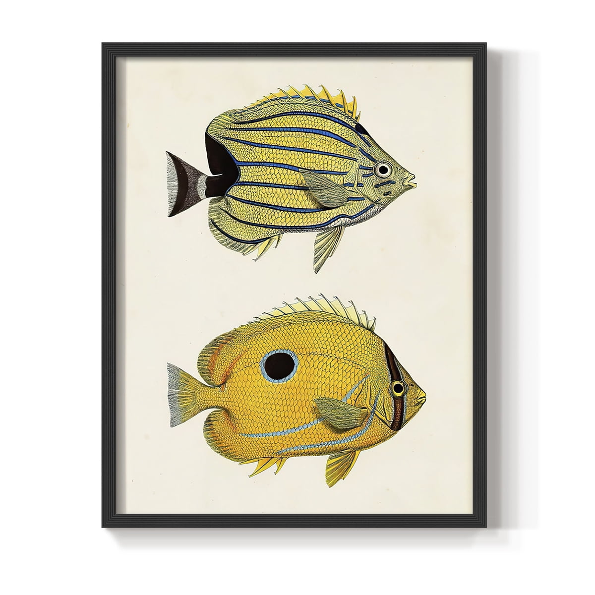 Yellow & Grey Fish III Framed Print - Solid Wood in Single Picture Frame Solid Wood 2 Framed Print