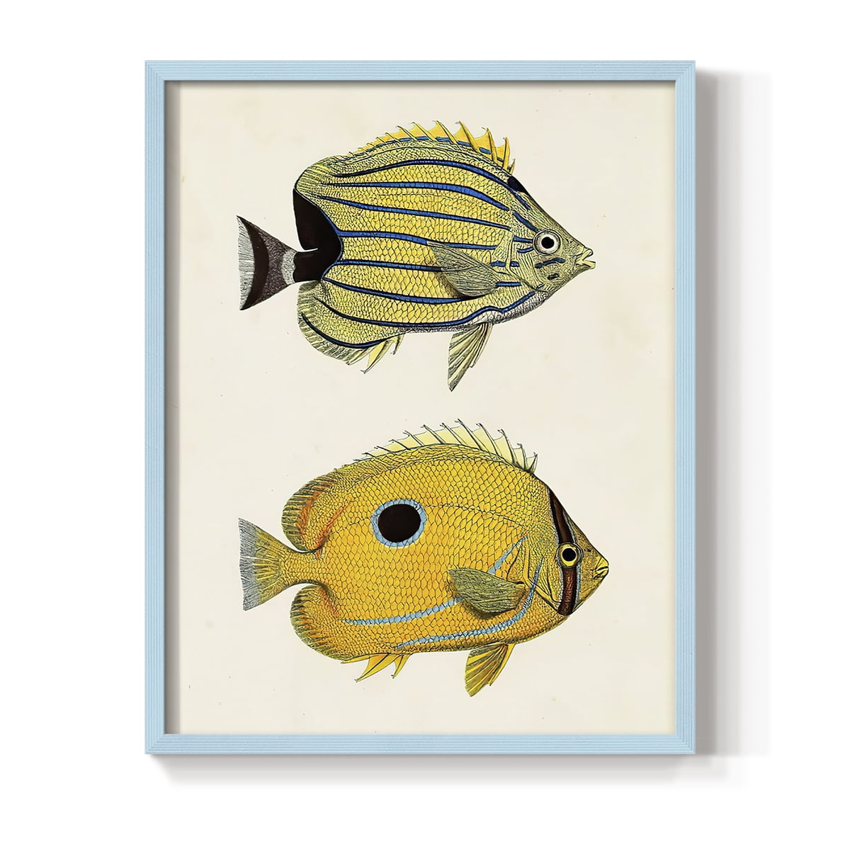 Yellow & Grey Fish III Framed Print - Solid Wood in Single Picture Frame Solid Wood 2 Framed Print