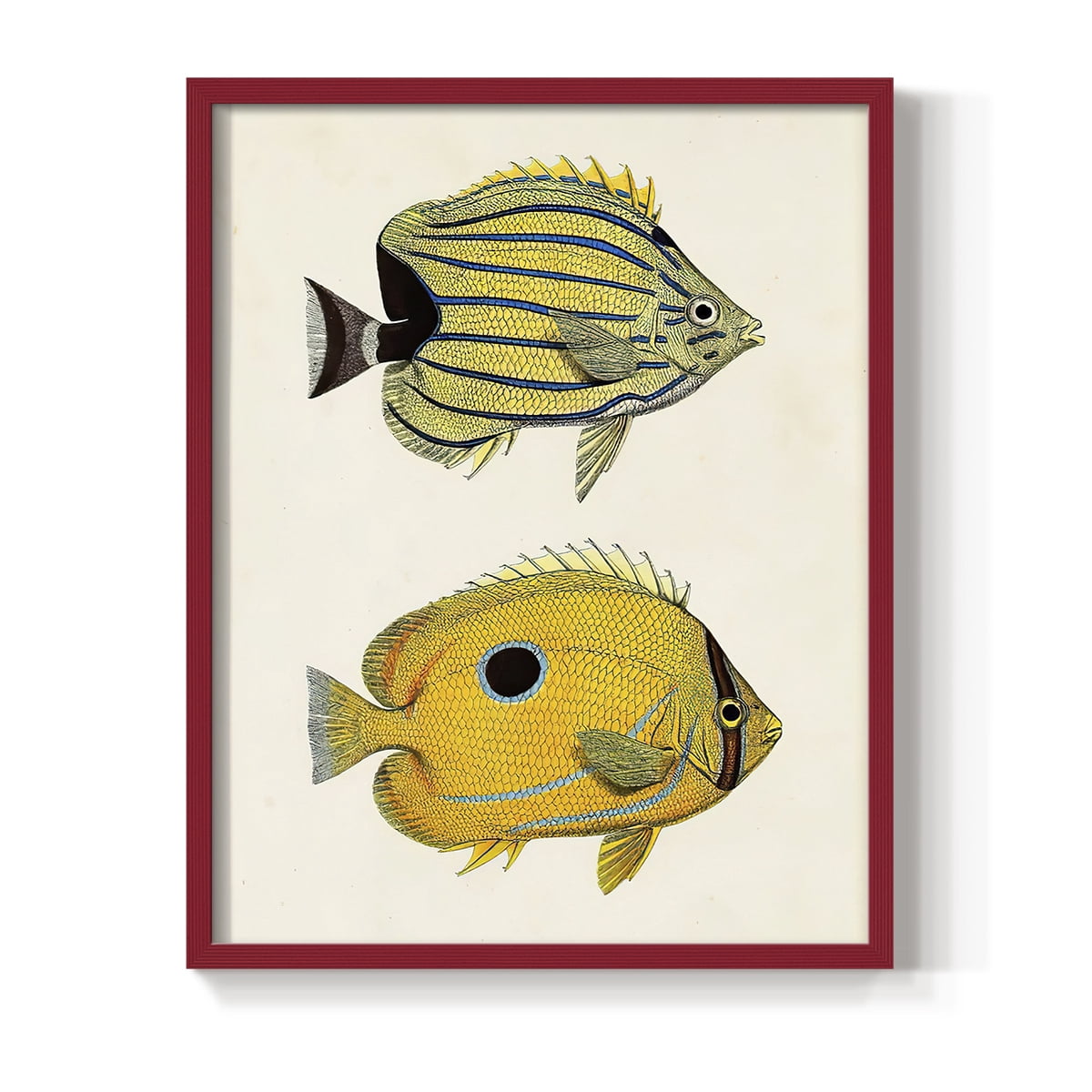 Yellow & Grey Fish III Framed Print - Solid Wood in Single Picture Frame Solid Wood 2 Framed Print
