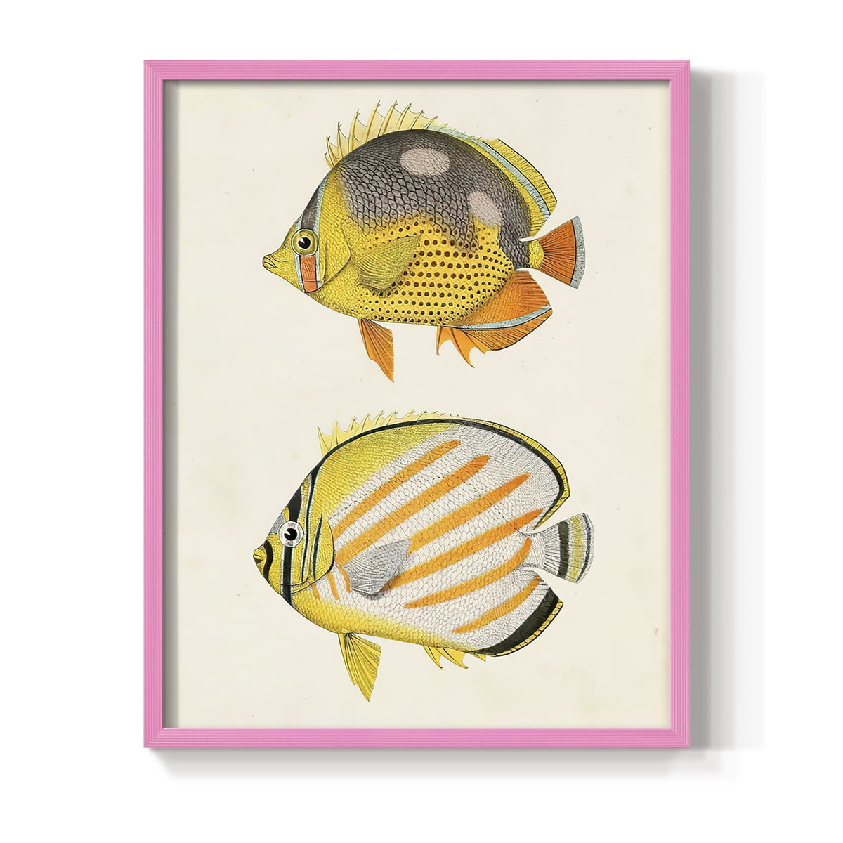 Yellow & Grey Fish IV Framed Print - Solid Wood in Single Picture Frame Solid Wood 2 Framed Print