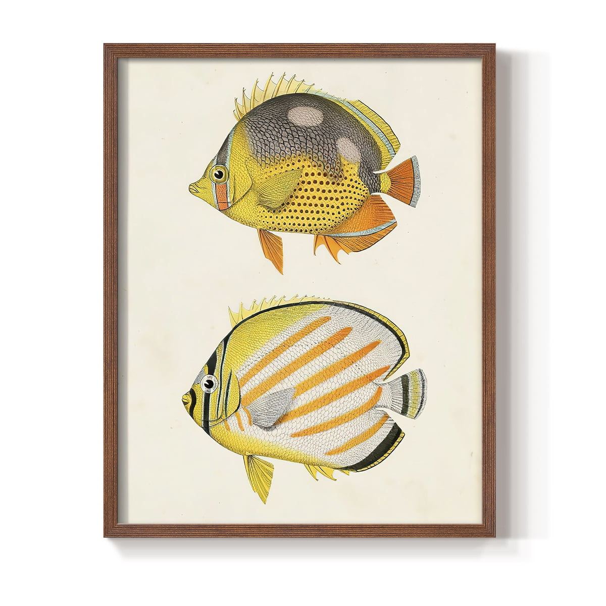 Yellow & Grey Fish IV Framed Print - Solid Wood in Single Picture Frame Solid Wood 2 Framed Print