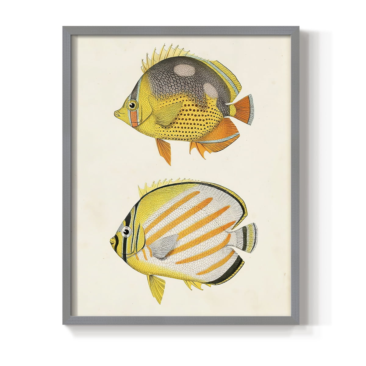 Yellow & Grey Fish IV Framed Print - Solid Wood in Single Picture Frame Solid Wood 2 Framed Print