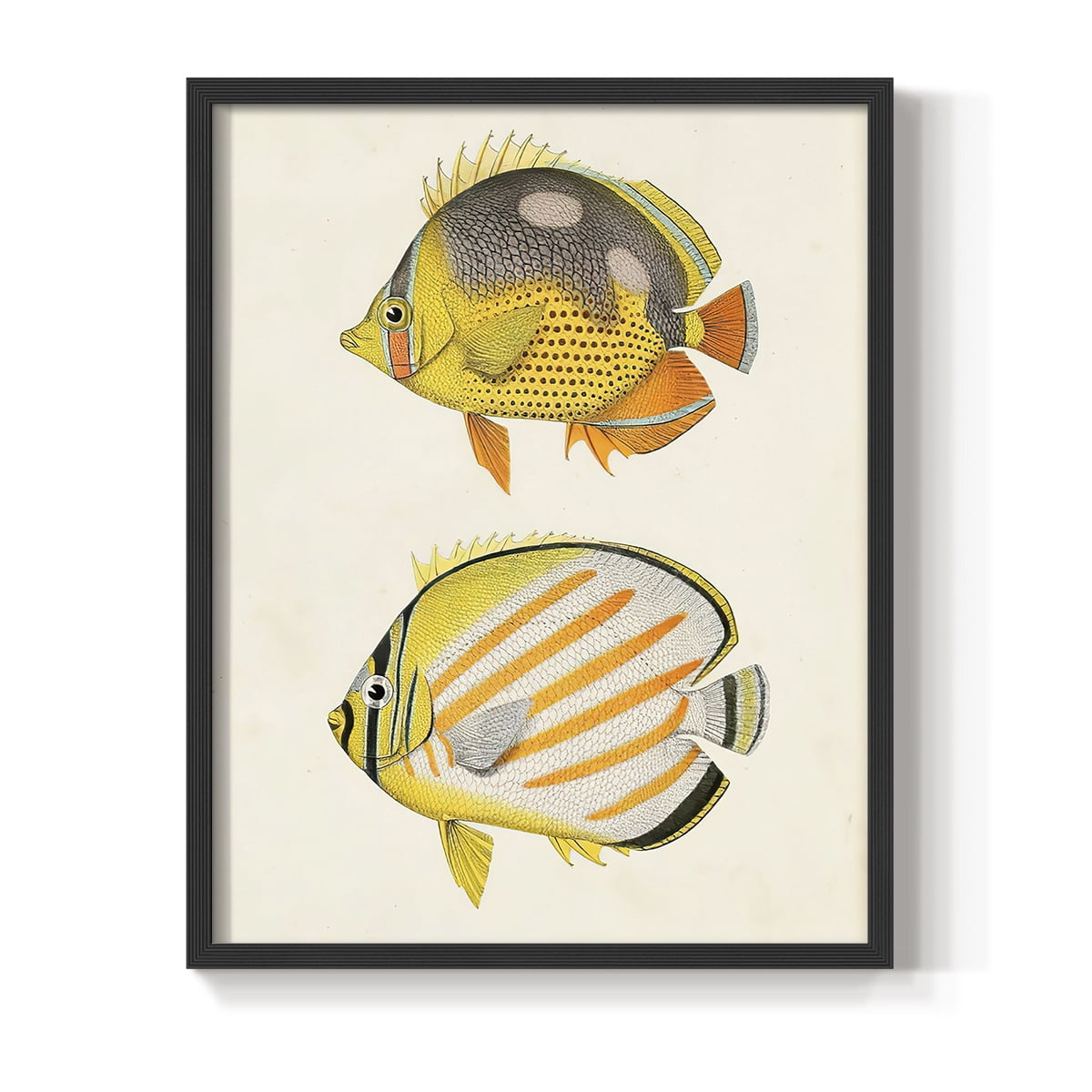 Yellow & Grey Fish IV Framed Print - Solid Wood in Single Picture Frame Solid Wood 2 Framed Print