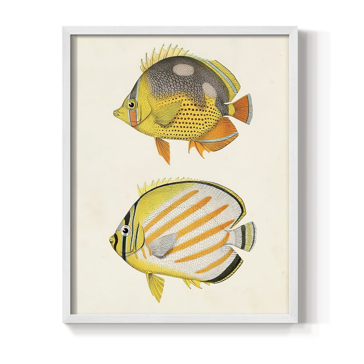 Yellow & Grey Fish IV Framed Print - Solid Wood in Single Picture Frame Solid Wood 2 Framed Print