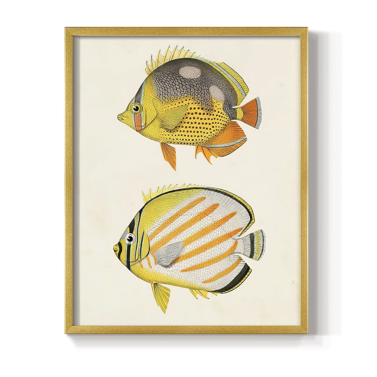 Yellow & Grey Fish IV Framed Print - Solid Wood in Single Picture Frame Solid Wood 2 Framed Print