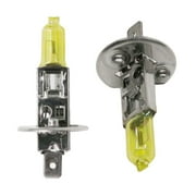 Yellow H1 H3 H4 H7 H8 H11 9005 9006 Halogen Bulb 12V Quartz HeadLight Glass Car 55W Auto 3000K C5Q5