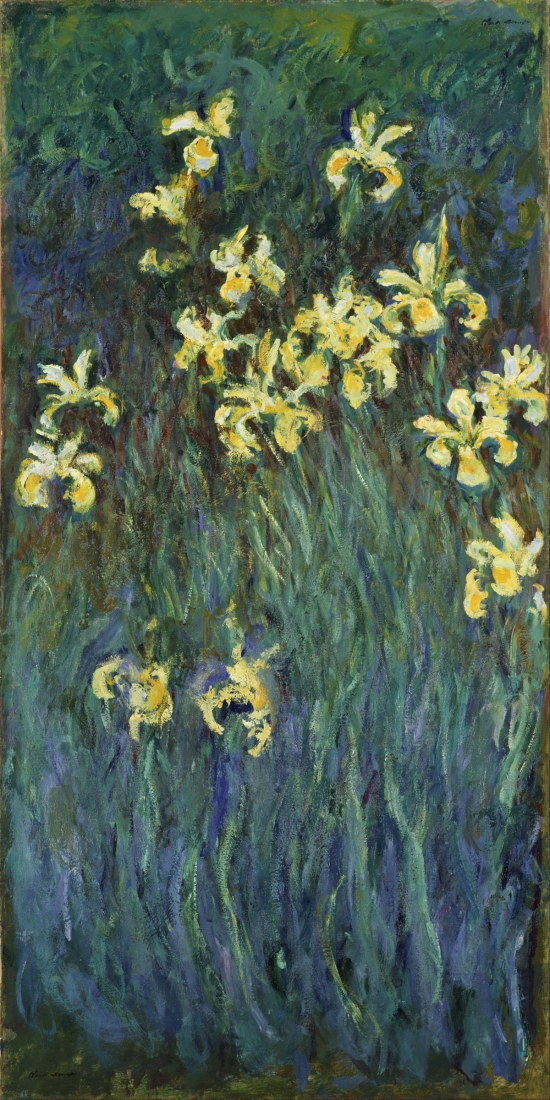 Yellow Irises Canvas Art - Claude Monet (24 x 36)