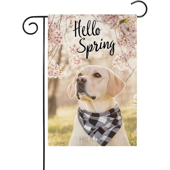 Yellow Labrador Dog Hello Spring Garden Flags for Outside, Spring Cherry Blossom Flower Dog Garden Flag 12x18 Double Sided,Lover Gift Holiday Welcome Spring Yard Flag for Farmhouse Decor(13056)