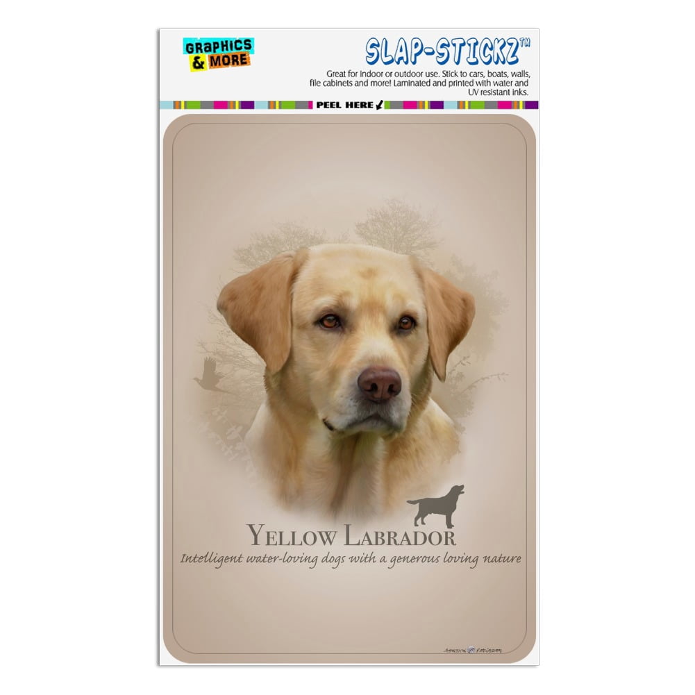 Yellow Lab Sign Yellow Labrador Retriever Dog Breed Home Business Office Sign - Walmart.com