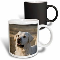 3drose, Yellow Labrador Retriever Dog - Na02 Zmu0100 - Zandria Muench Beraldo, 11oz Magic Transforming Mug