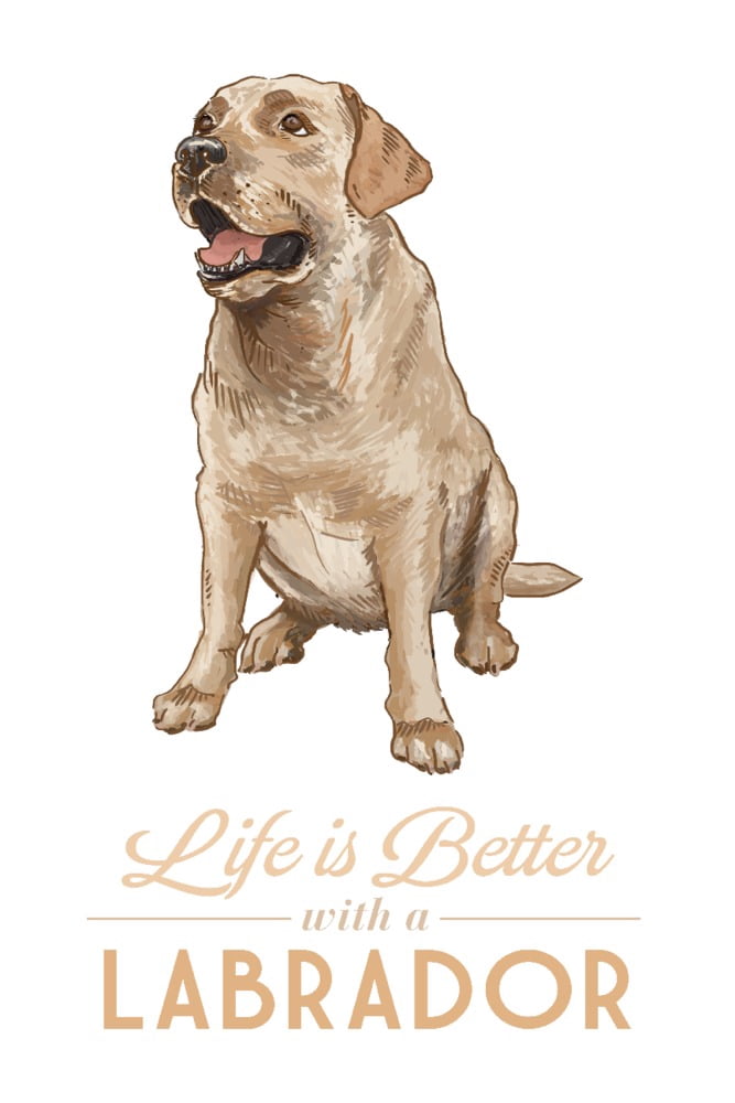 Yellow Labrador Retriever, Life is Better (12x18 Wall Art Poster, Room ...