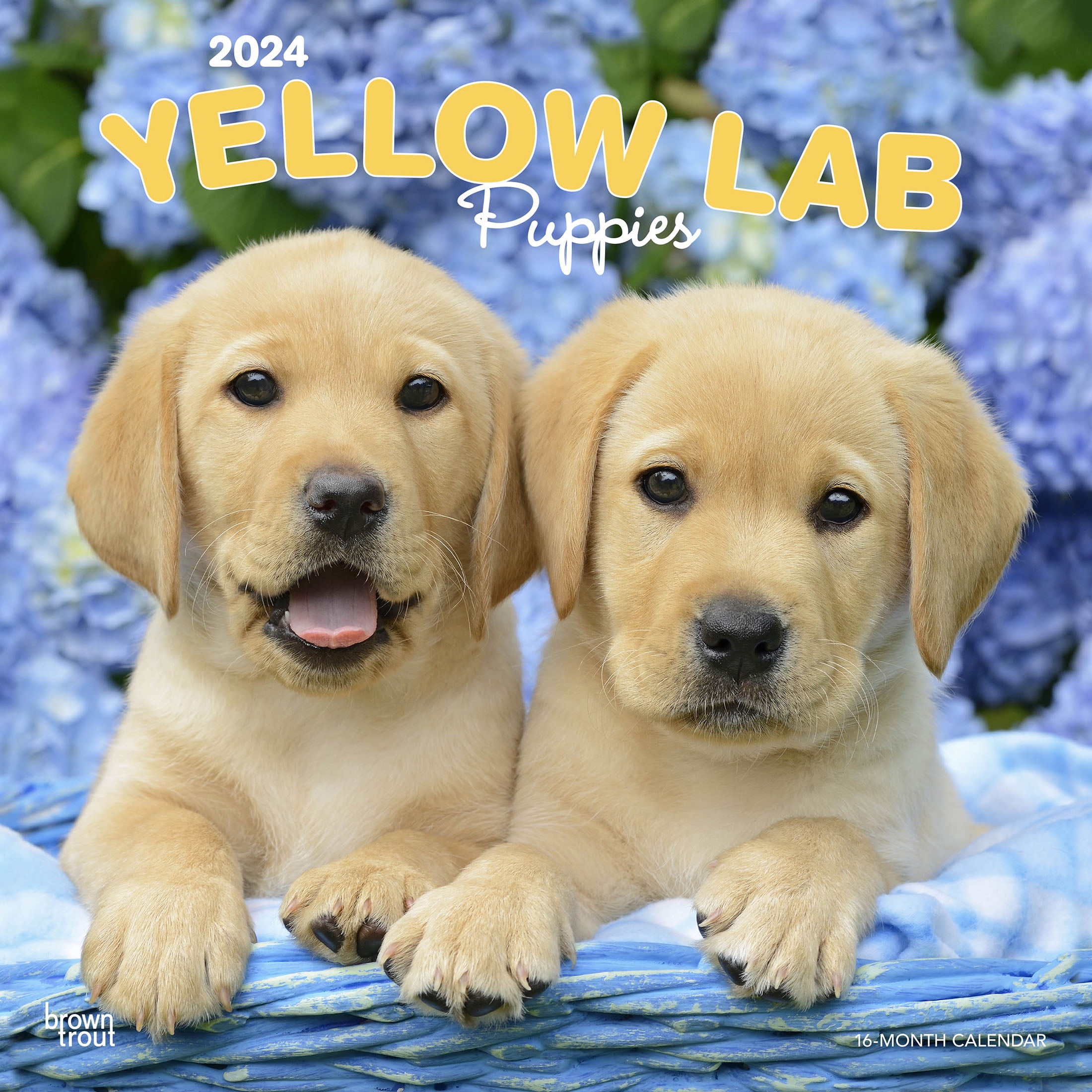 Yellow Labrador Retriever Puppies | 2024 12x24 Yellow Labrador Retriever Puppies | 2024 12x24
