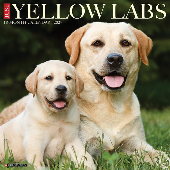 Willow Creek Press, Yellow Labs 2027 Wall Calendar