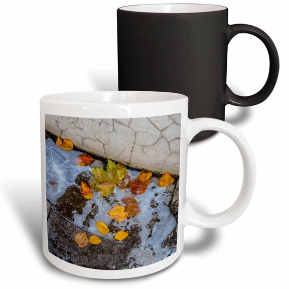 3drose, Yellow Leave in a Frozen Puddle. Autumn Decay, 11oz Magic Transforming Mug